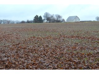 Property photo 23 - FARM AUCTION - 60.5+/- ACRES IN 5 TRACTS IN ALLEN COUNTY, INDIANA